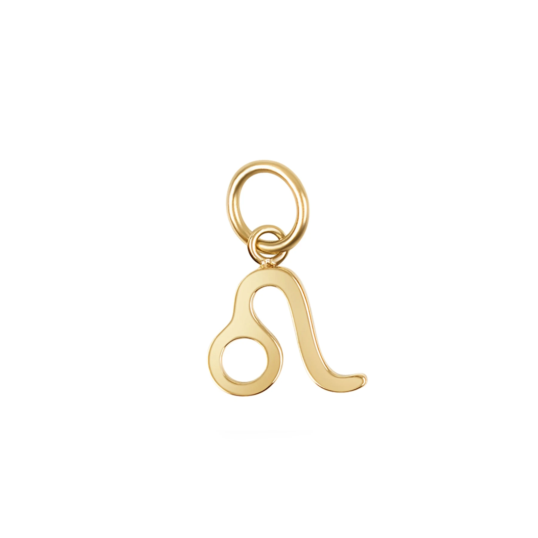 The Zodiac Charm