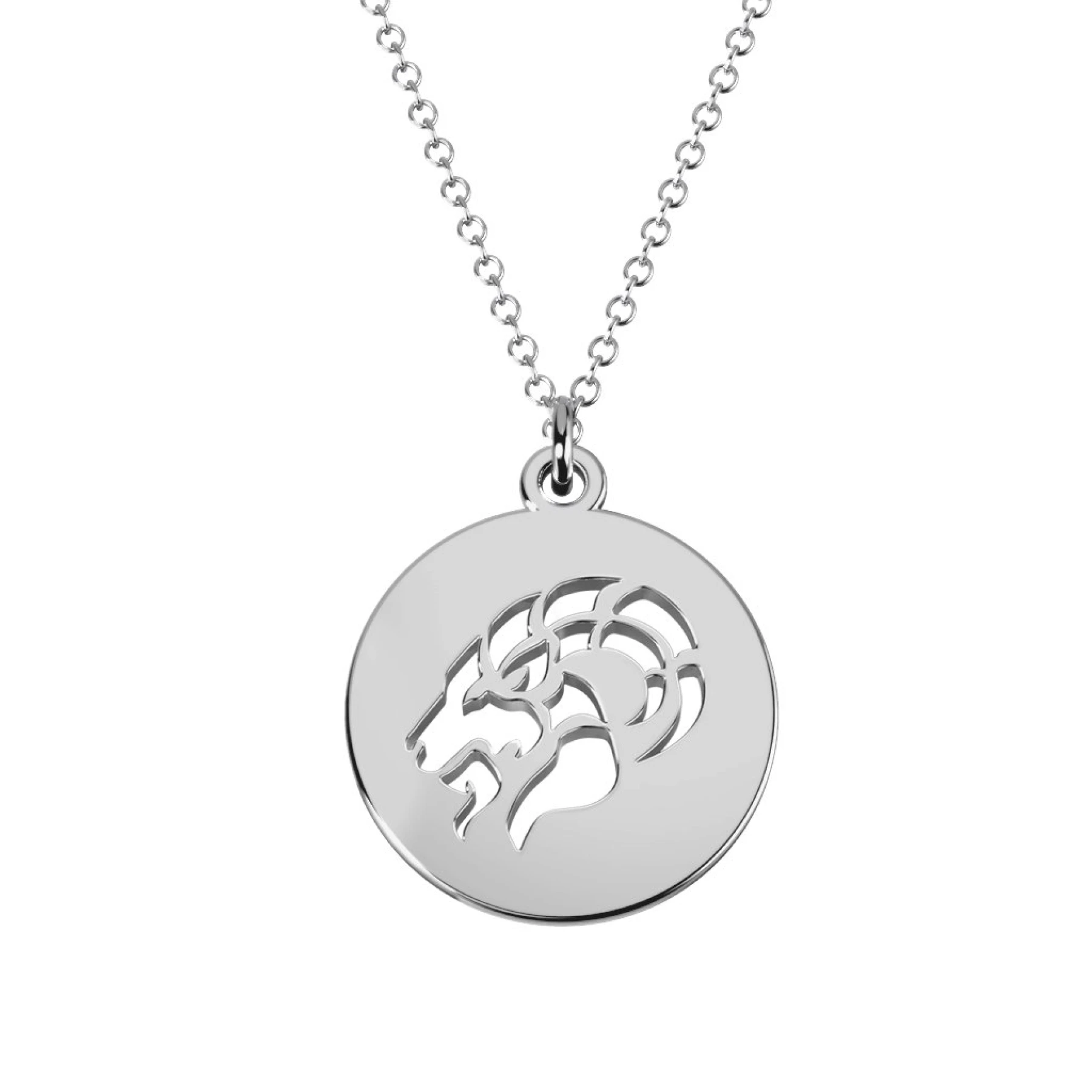 Capricorn Zodiac Sign Cutout Disc Necklace - view 1