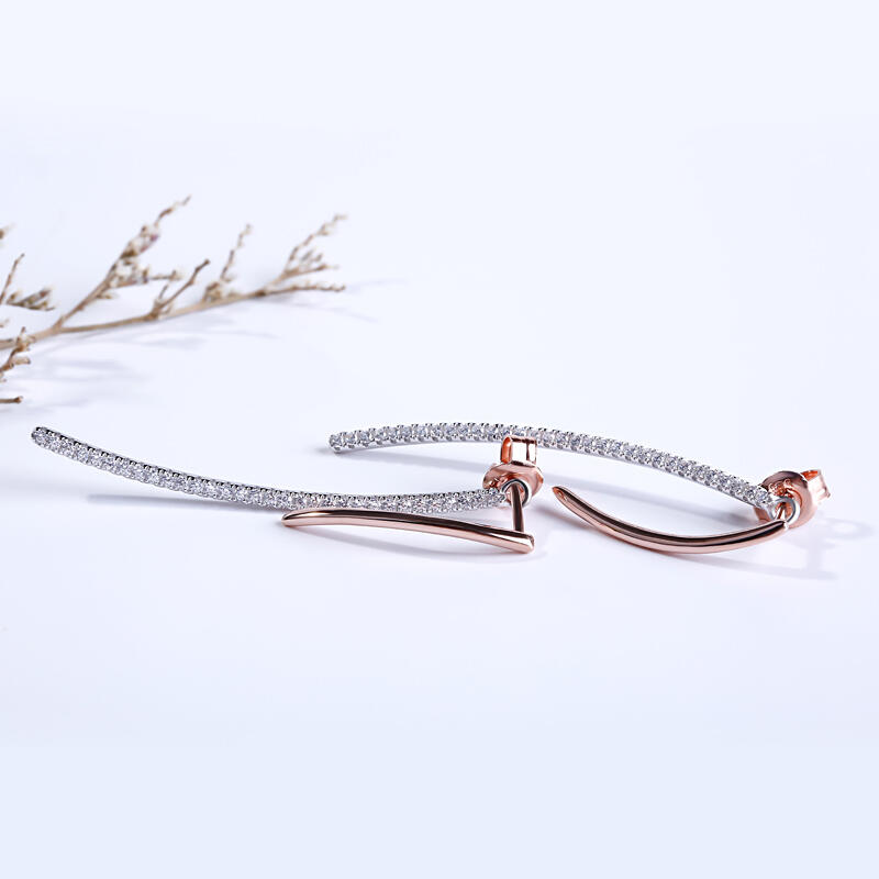 Two Tone Earrings American
