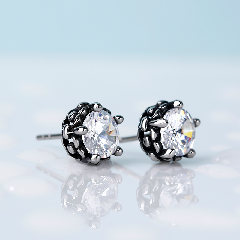 Stainless Steel Earrings US